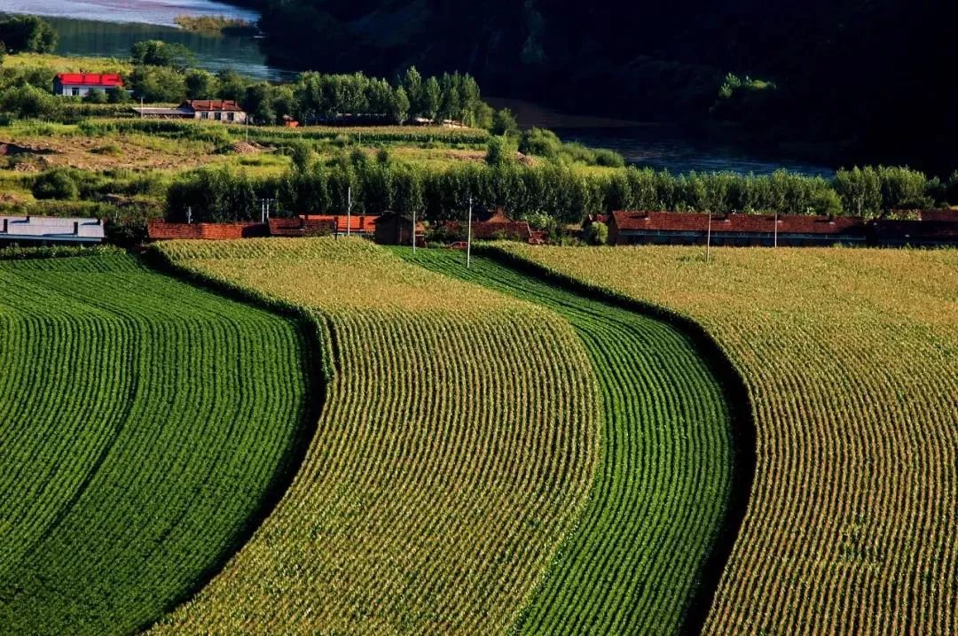 建设全国农业全产业链重点链、典型县 农民分享更多产业增值收益