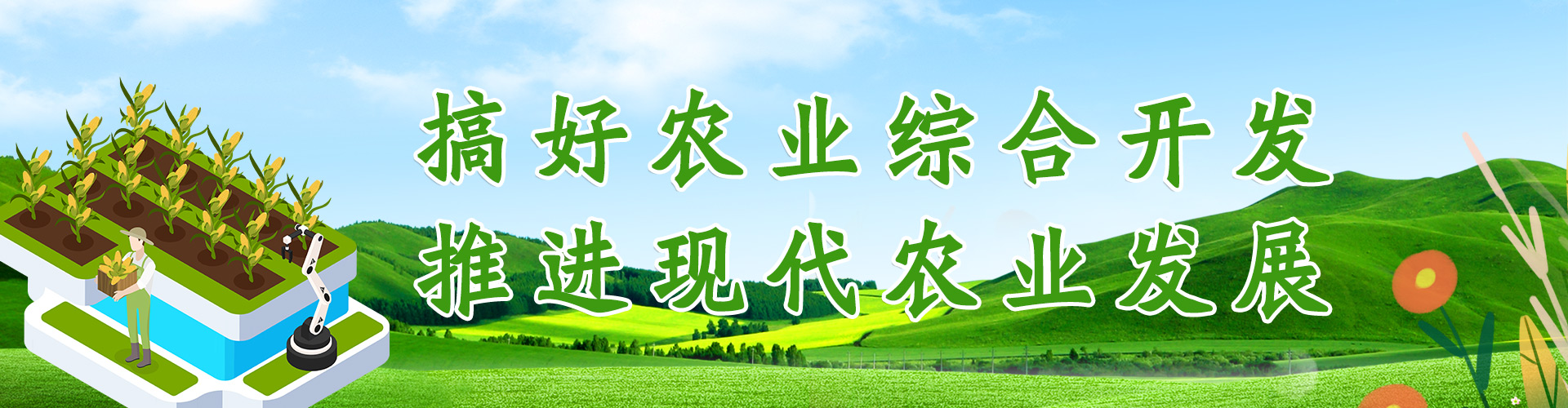 搞好农业综合开发 推进现代农业发展