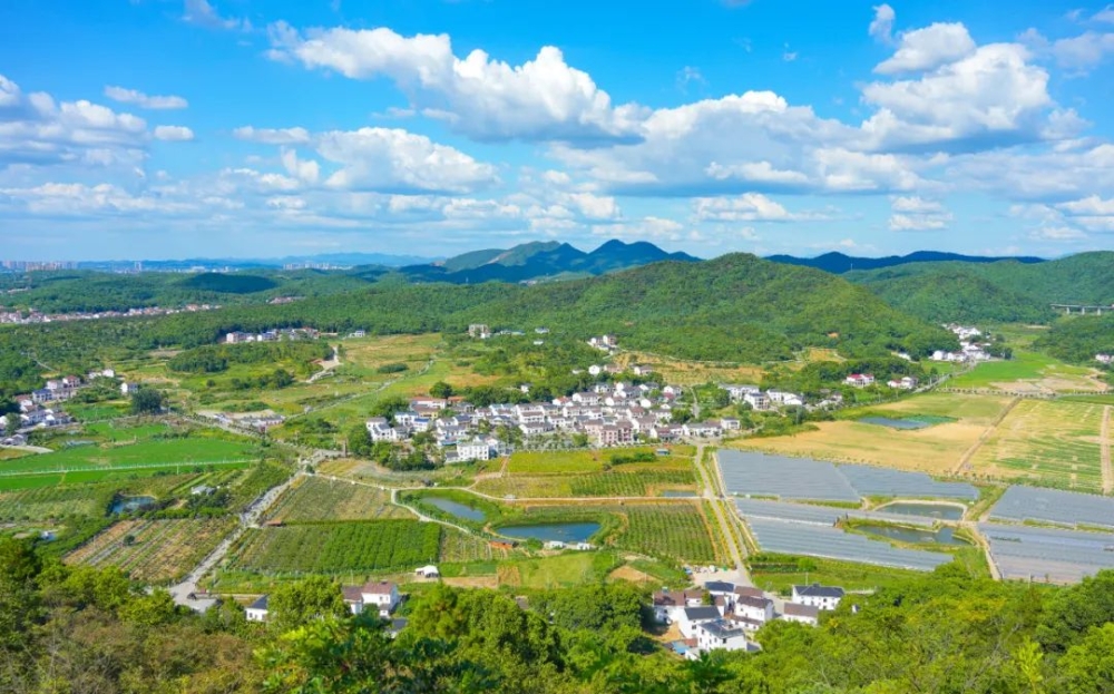 　　岳农焦点：农文旅深度融合绘就“现代农业”新画卷