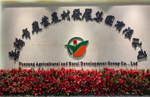 岳阳市农业农村发展集团有限公司